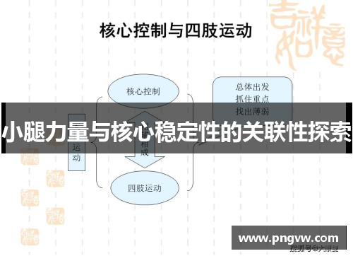 小腿力量与核心稳定性的关联性探索